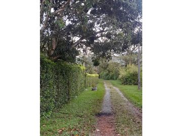 VENDO CASA DE CAMPO EN VITERBO CALDAS