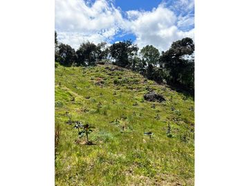 FINCA  PARA PRODUCCION O GLAMPING EN VENTA