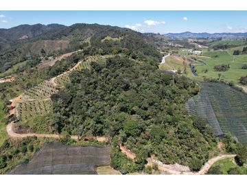 FINCA  PARA PRODUCCION O GLAMPING EN VENTA