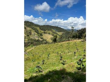 FINCA  PARA PRODUCCION O GLAMPING EN VENTA