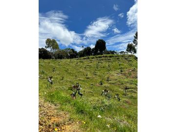 FINCA  PARA PRODUCCION O GLAMPING EN VENTA