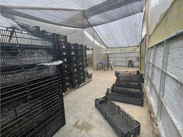 FINCA  PARA PRODUCCION O GLAMPING EN VENTA