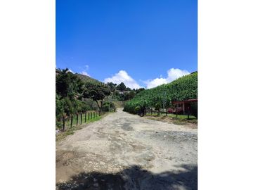 Vendo finca  en Sonsón Antioquia, oriente antioqueño