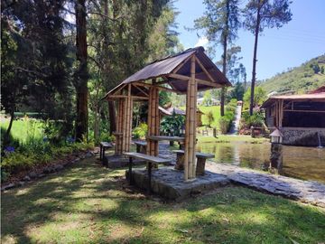 Vendo finca  en Sonsón Antioquia, oriente antioqueño