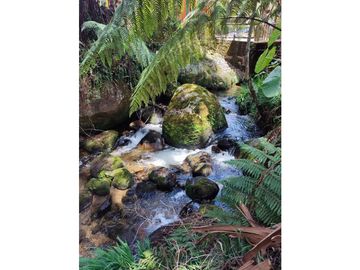 Vendo finca  en Sonsón Antioquia, oriente antioqueño