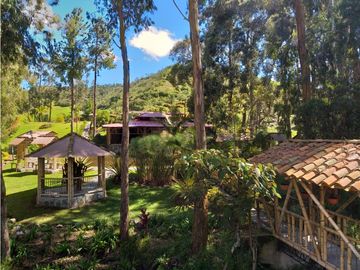 Vendo finca  en Sonsón Antioquia, oriente antioqueño