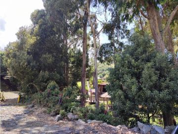 Vendo finca  en Sonsón Antioquia, oriente antioqueño