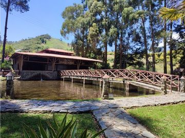 Vendo finca  en Sonsón Antioquia, oriente antioqueño
