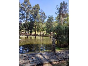 Vendo finca  en Sonsón Antioquia, oriente antioqueño