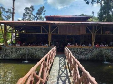 Vendo finca  en Sonsón Antioquia, oriente antioqueño