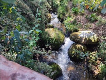 Vendo finca  en Sonsón Antioquia, oriente antioqueño