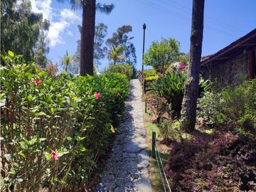 Vendo finca  en Sonsón Antioquia, oriente antioqueño