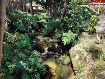 Vendo finca  en Sonsón Antioquia, oriente antioqueño