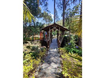 Vendo finca  en Sonsón Antioquia, oriente antioqueño