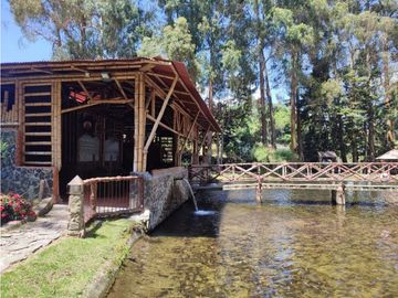 Vendo finca  en Sonsón Antioquia, oriente antioqueño
