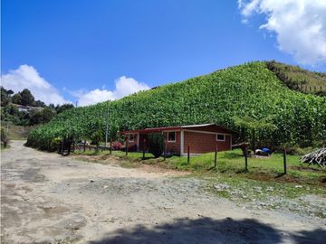 Vendo finca  en Sonsón Antioquia, oriente antioqueño
