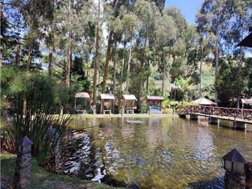 Vendo finca  en Sonsón Antioquia, oriente antioqueño