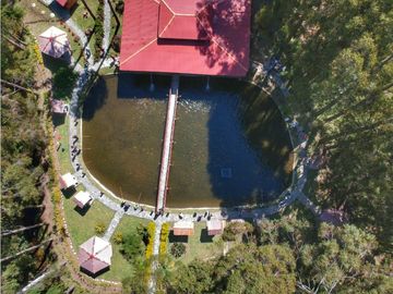 Vendo finca  en Sonsón Antioquia, oriente antioqueño