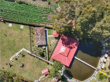 Vendo finca  en Sonsón Antioquia, oriente antioqueño