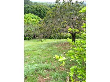 Lote venta Jamundi