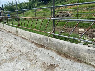Se Vende Finca Ganadera Barragan Genova Quindio