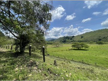 Se Vende Finca Ganadera Barragan Genova Quindio