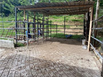 Se Vende Finca Ganadera Barragan Genova Quindio