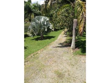 Se Vende Finca Ganadera Barragan Genova Quindio
