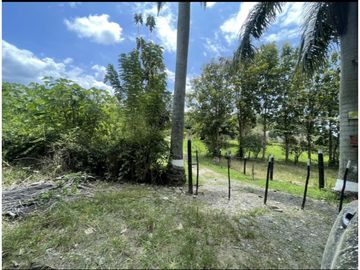 Se Vende Finca Ganadera Barragan Genova Quindio