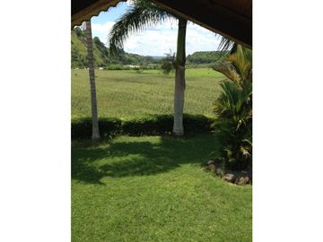 Se Vende Finca Ganadera Barragan Genova Quindio