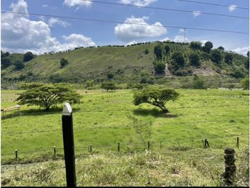 Se Vende Finca Ganadera Barragan Genova Quindio