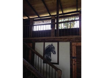 Se Vende Finca Ganadera Barragan Genova Quindio