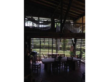 Se Vende Finca Ganadera Barragan Genova Quindio