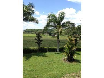 Se Vende Finca Ganadera Barragan Genova Quindio