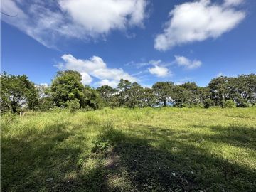 Finca Quindiana A La Venta Sobre Corredor Turistico De Montenegro
