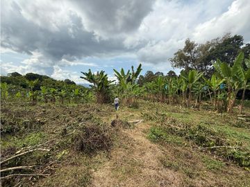 Finca Quindiana A La Venta Sobre Corredor Turistico De Montenegro
