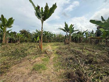 Finca Quindiana A La Venta Sobre Corredor Turistico De Montenegro