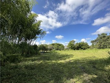 Finca Quindiana A La Venta Sobre Corredor Turistico De Montenegro