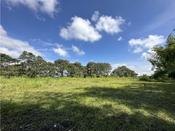 Finca Quindiana A La Venta Sobre Corredor Turistico De Montenegro