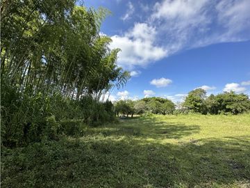 Finca Quindiana A La Venta Sobre Corredor Turistico De Montenegro