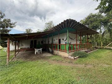 Finca Quindiana A La Venta Sobre Corredor Turistico De Montenegro