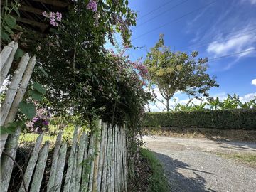 Finca Quindiana A La Venta Sobre Corredor Turistico De Montenegro