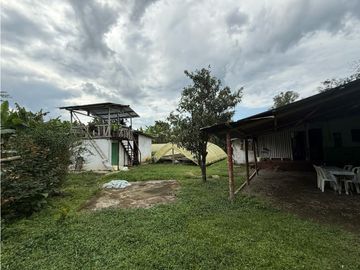 Finca Quindiana A La Venta Sobre Corredor Turistico De Montenegro