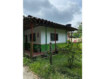 Finca Quindiana A La Venta Sobre Corredor Turistico De Montenegro