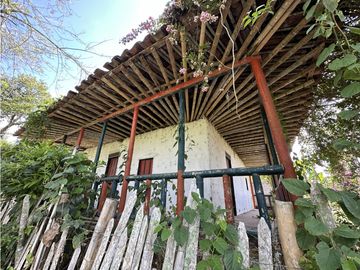 Finca Quindiana A La Venta Sobre Corredor Turistico De Montenegro