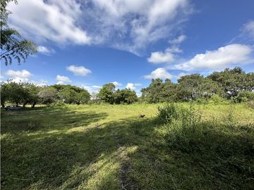 Finca Quindiana A La Venta Sobre Corredor Turistico De Montenegro