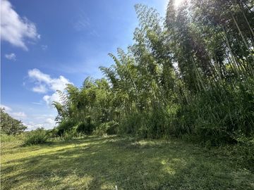 Finca Quindiana A La Venta Sobre Corredor Turistico De Montenegro