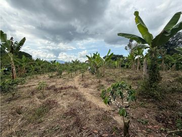 Finca Quindiana A La Venta Sobre Corredor Turistico De Montenegro