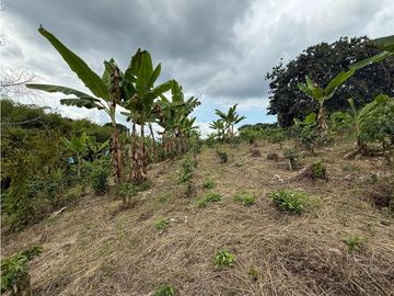 Finca Quindiana A La Venta Sobre Corredor Turistico De Montenegro