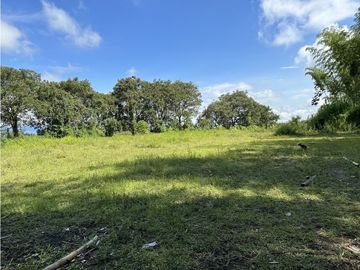 Finca Quindiana A La Venta Sobre Corredor Turistico De Montenegro